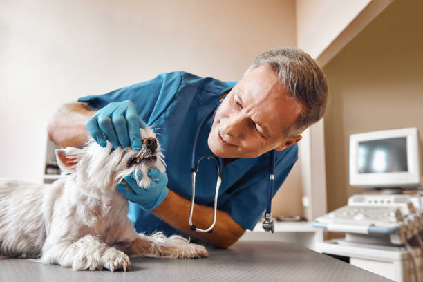 Best Dental Emergency Near Me  in Pleasant Ridge, MI